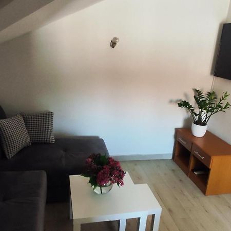 Apartment Kovac تْشيرسيك نوفي المظهر الخارجي الصورة